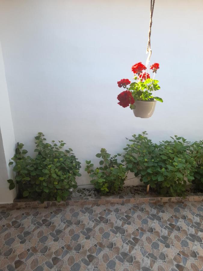 Casa Valea Morilor Guest House Eftimie Murgu Exterior photo