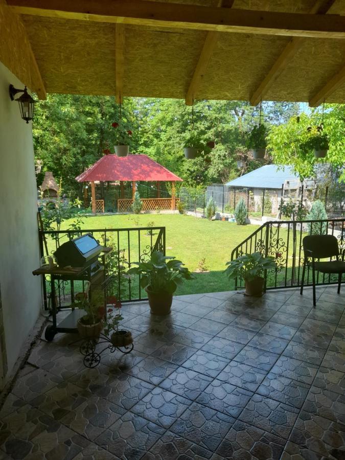 Casa Valea Morilor Guest House Eftimie Murgu Exterior photo