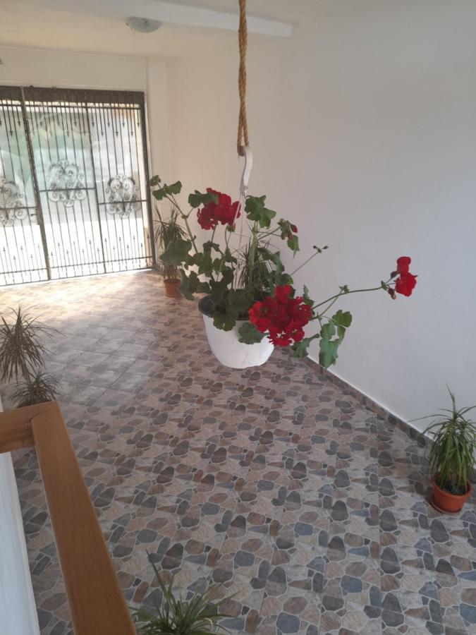 Casa Valea Morilor Guest House Eftimie Murgu Exterior photo