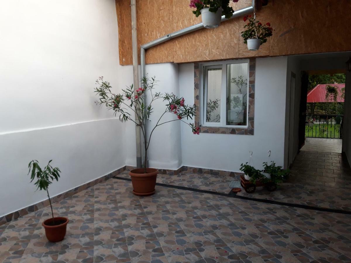 Casa Valea Morilor Guest House Eftimie Murgu Exterior photo