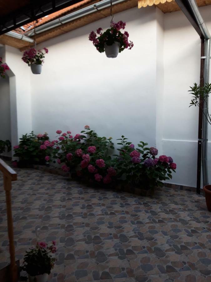 Casa Valea Morilor Guest House Eftimie Murgu Exterior photo